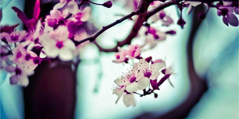 WL Telecom23:以光纤技术为核心,赋能企业通信服务新纪元