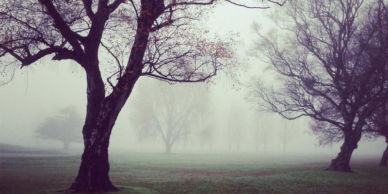 WL Telecom37：赋能企业数字化转型的网络接入与宽带解决方案专家