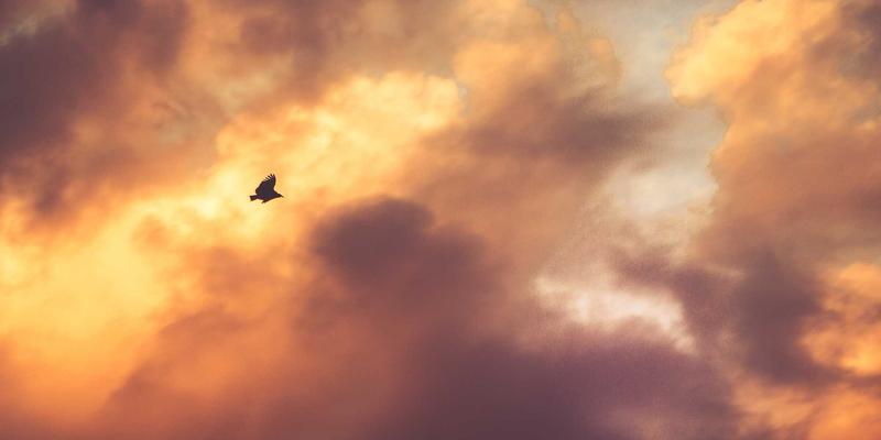 WL Telecom38：赋能企业数字化转型的下一代宽带与解决方案