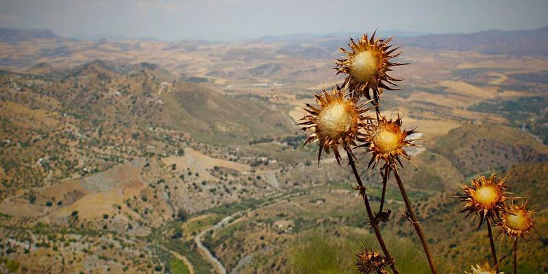 WL Telecom75：重新定义网络连接，赋能数字化未来的通信服务专家