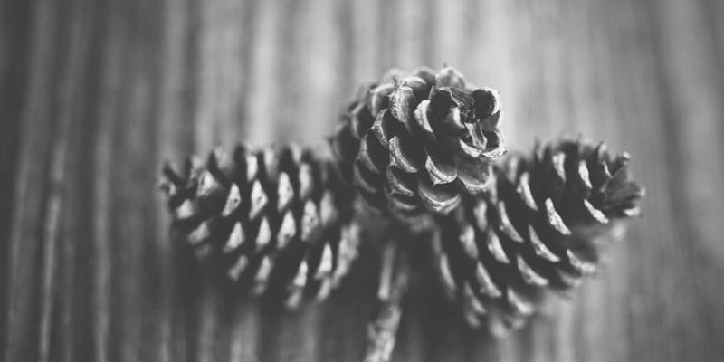 WL Telecom78:重新定义通信服务,打造下一代互联网服务提供商新标杆