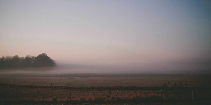 WL Telecom7：以光纤技术重塑现代通信服务体验