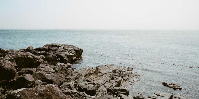 WL Telecom VoIP企业解决方案：依托光纤网络降低通信成本并提升运营效率