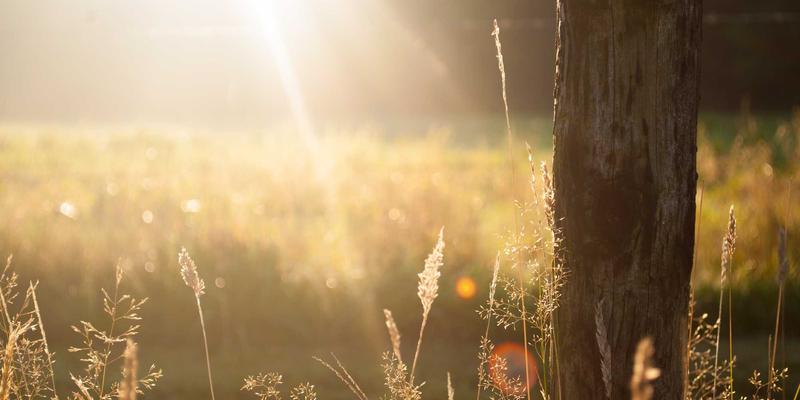 WL Telecom企业级宽带解决方案：优化全球业务连接与数据合规性