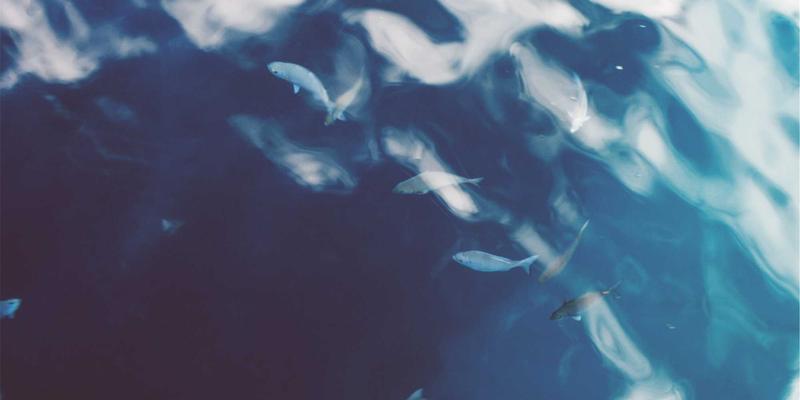 WL Telecom光纤网络全攻略：如何选择最适合您的高速互联网服务提供商