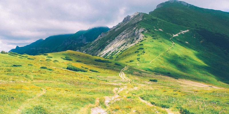 WL Telecom宽带完全指南：如何选择最适合您的互联网服务提供商