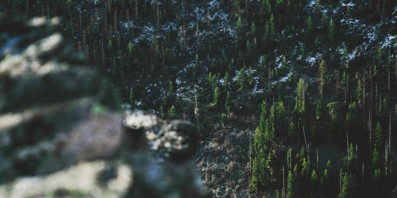 WL Telecom深度解析：网络接入服务如何重塑企业连接体验