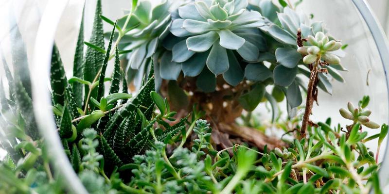 WL Telecom物联网平台：以光纤网络与创新企业解决方案赋能智慧城市安全建设