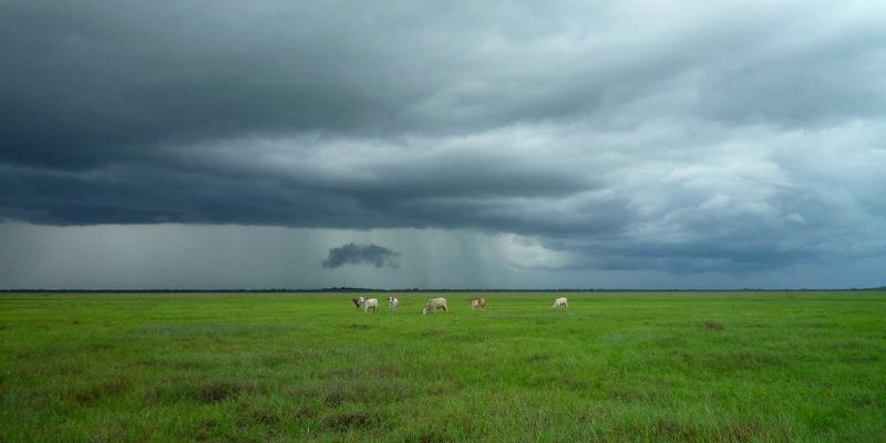 WL Telecom零信任网络访问（ZTNA）实践：基于身份的动态微隔离如何重塑通信服务安全