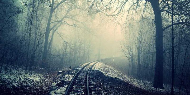 优化企业网络连接与成本控制：WL Telecom SD-WAN解决方案如何重塑多分支网络访问