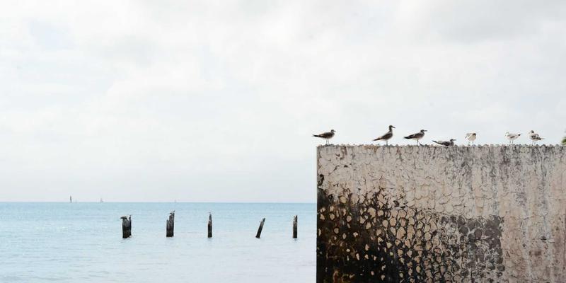 决胜毫秒之间：WL Telecom为金融机构打造的超低时延交易专线解决方案