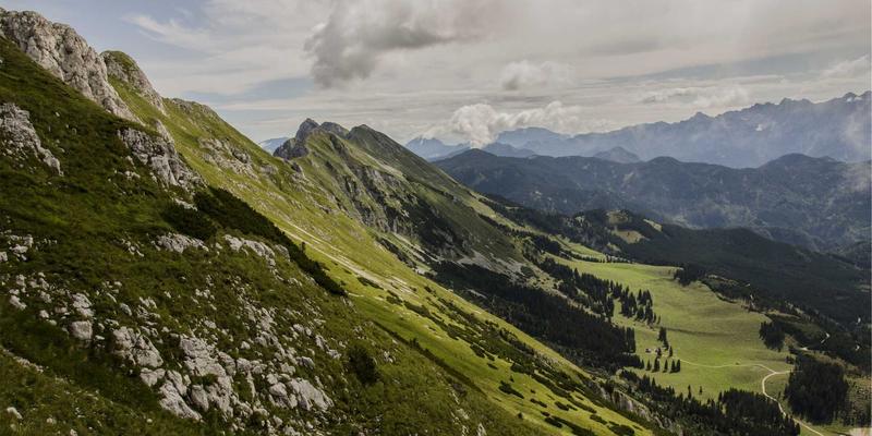 拥抱未来网络：WL Telecom IPv6规模化部署的挑战、策略与客户迁移支持服务