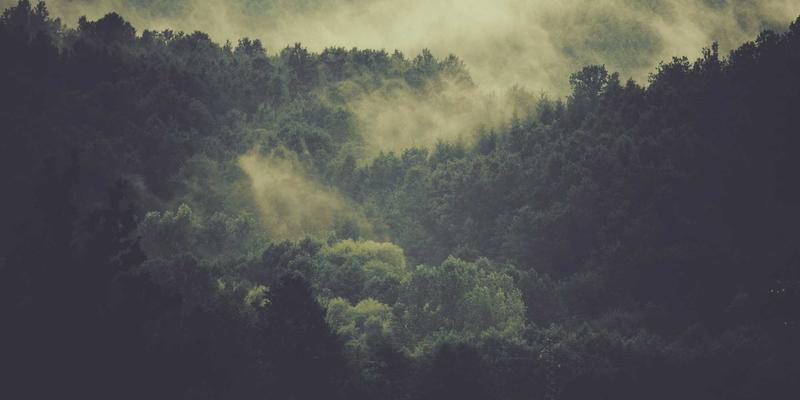 构建未来通信基石：WL Telecom DCI解决方案如何打造高带宽、低时延的私有骨干网