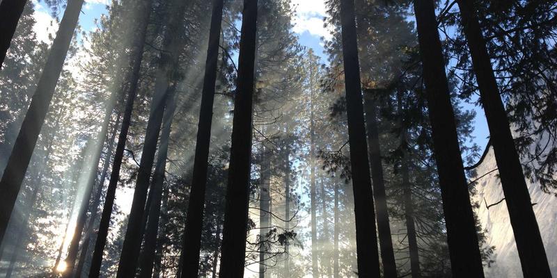 超越地理限制：WL Telecom卫星互联网如何为企业关键业务构建终极冗余网络保障